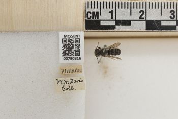 Media type: image;   Entomology 790816 Aspect: Labels